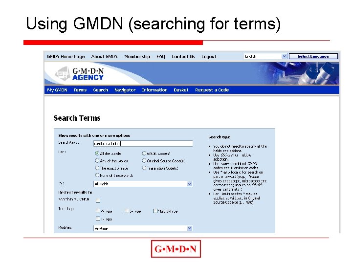 Using GMDN (searching for terms) 
