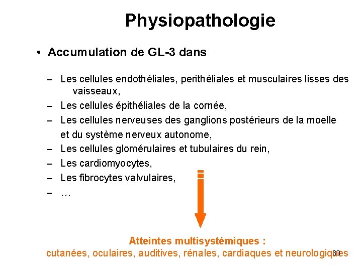 Physiopathologie • Accumulation de GL-3 dans – Les cellules endothéliales, perithéliales et musculaires lisses