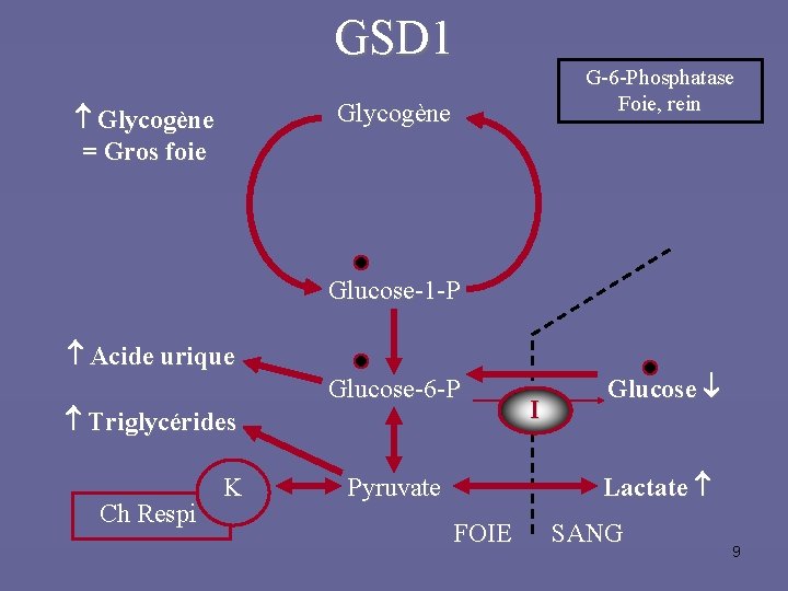 GSD 1 G-6 -Phosphatase Foie, rein Glycogène = Gros foie Glucose-1 -P Acide urique