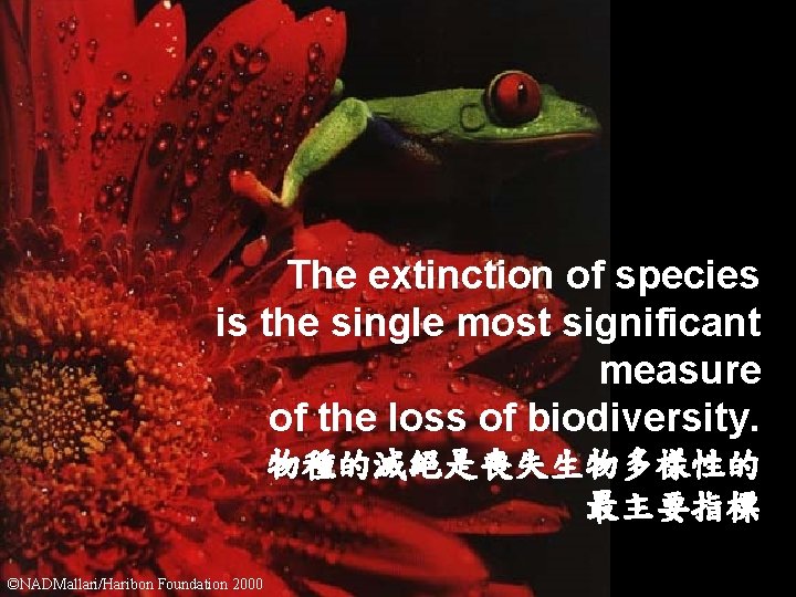 The extinction of species is the single most significant measure of the loss of