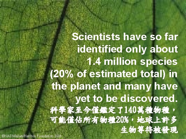 Scientists have so far identified only about 1. 4 million species (20% of estimated