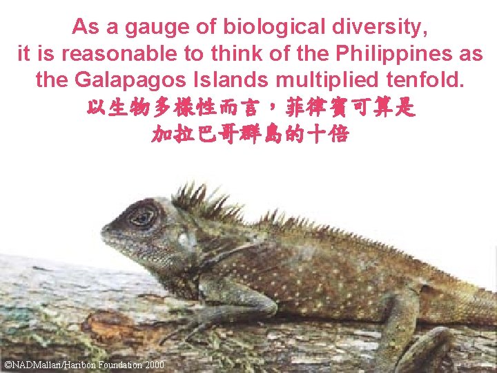 As a gauge of biological diversity, it is reasonable to think of the Philippines