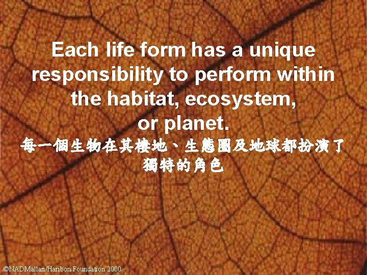 Each life form has a unique responsibility to perform within the habitat, ecosystem, or