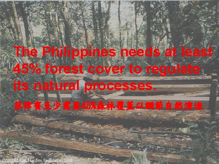 The Philippines needs at least 45% forest cover to regulate its natural processes. 菲律賓至少需要45%森林覆蓋以調節自然演進