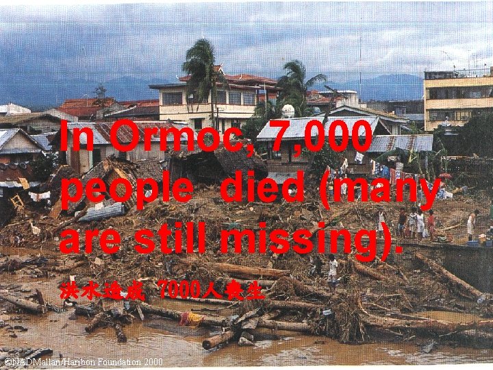 In Ormoc, 7, 000 people died (many are still missing). 洪水造成 7000人喪生 ©NADMallari/Haribon Foundation