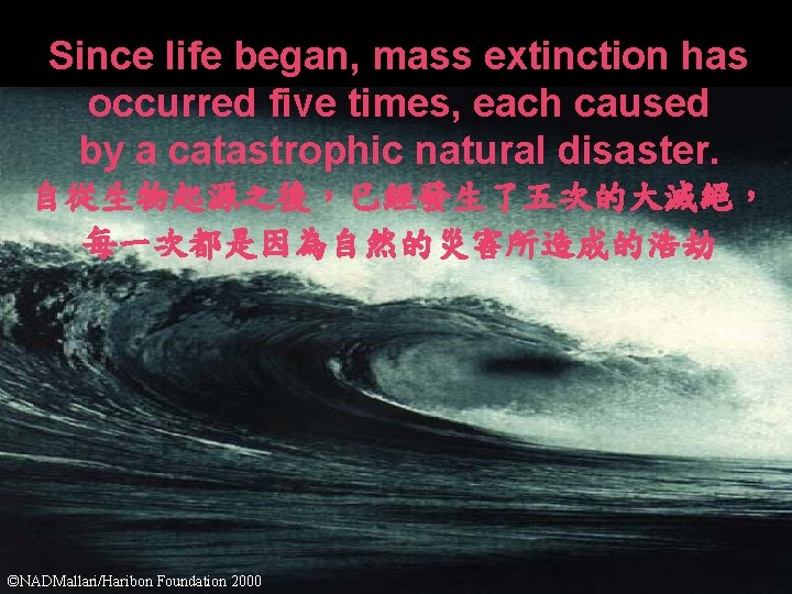 Since life began, mass extinction has occurred five times, each caused by a catastrophic