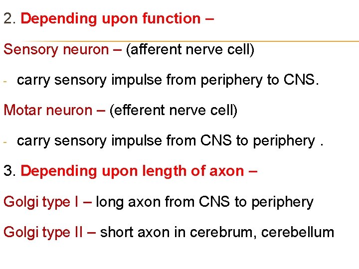 2. Depending upon function – Sensory neuron – (afferent nerve cell) - carry sensory