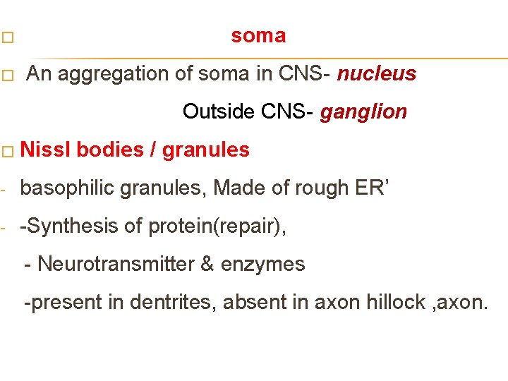 soma � � An aggregation of soma in CNS- nucleus Outside CNS- ganglion �