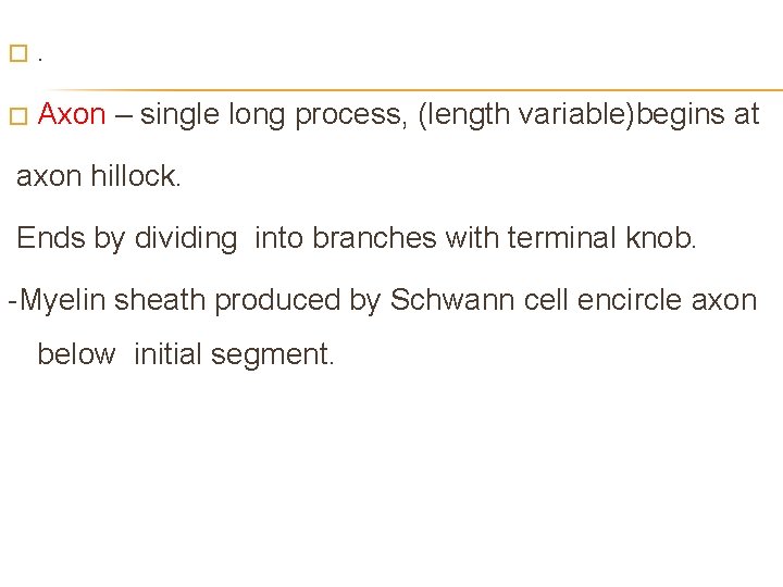 � . � Axon – single long process, (length variable)begins at axon hillock. Ends