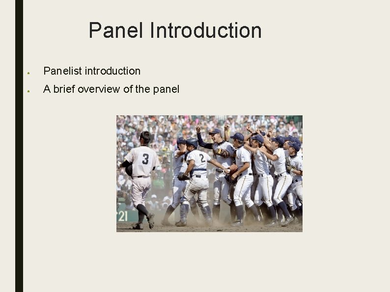 Panel Introduction ● Panelist introduction ● A brief overview of the panel 