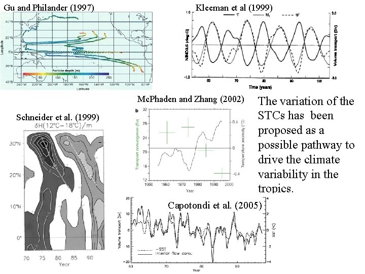 Gu and Philander (1997) Kleeman et al (1999) Mc. Phaden and Zhang (2002) Schneider