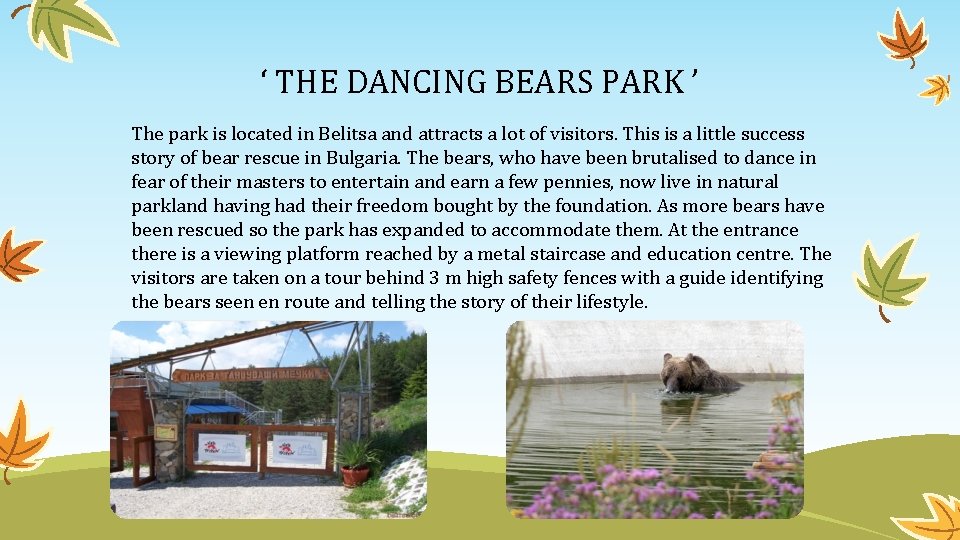 ‘ THE DANCING BEARS PARK ’ The park is located in Belitsa and attracts