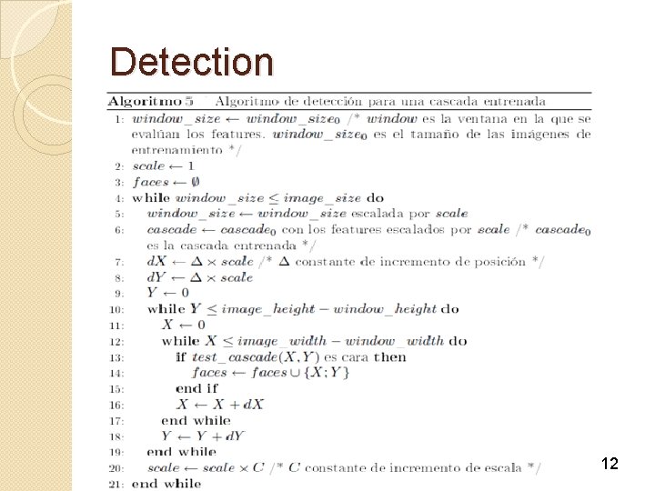 Detection 12 