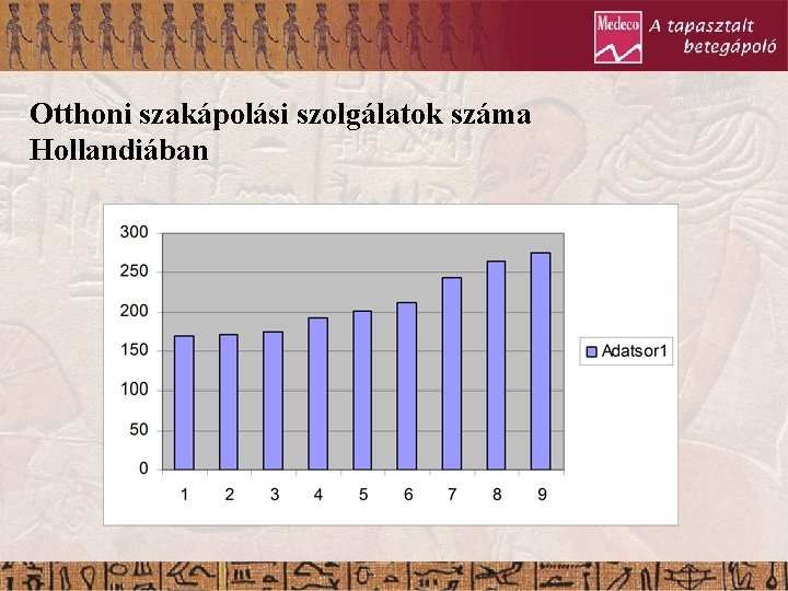 Otthoni szakápolási szolgálatok száma Hollandiában 