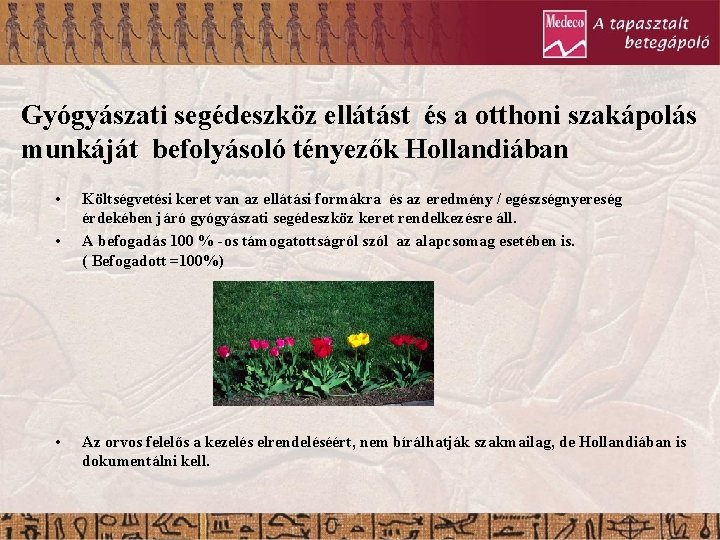 Gyógyászati segédeszköz ellátást és a otthoni szakápolás munkáját befolyásoló tényezők Hollandiában • • •