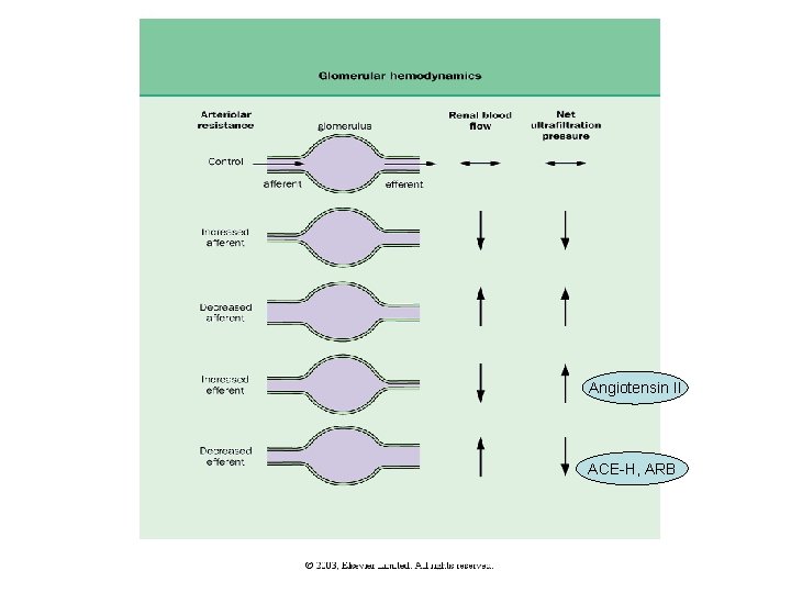 Angiotensin II ACE-H, ARB 