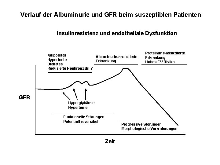 Verlauf der Albuminurie und GFR beim suszeptiblen Patienten Insulinresistenz und endotheliale Dysfunktion Adipositas Albuminurie-assoziierte
