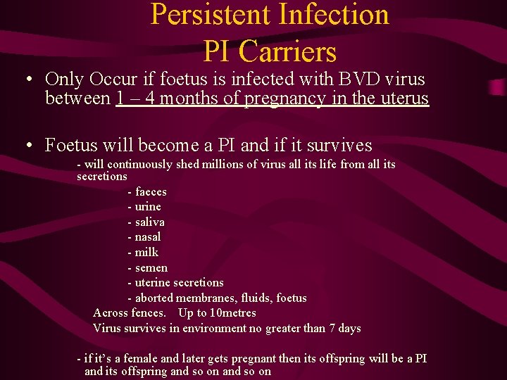 Persistent Infection PI Carriers • Only Occur if foetus is infected with BVD virus