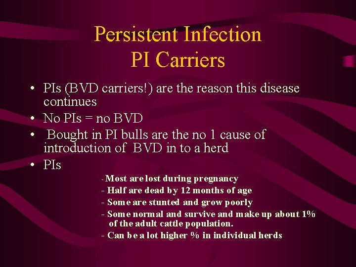 Persistent Infection PI Carriers • PIs (BVD carriers!) are the reason this disease continues