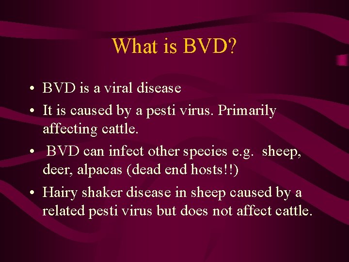 What is BVD? • BVD is a viral disease • It is caused by