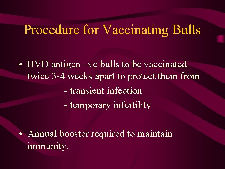 Procedure for Vaccinating Bulls • BVD antigen –ve bulls to be vaccinated twice 3