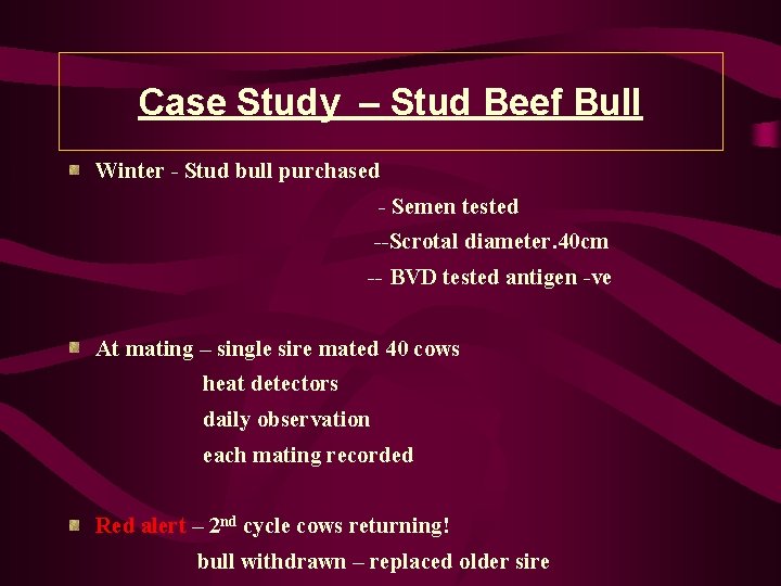 Case Study – Stud Beef Bull Winter - Stud bull purchased - Semen tested