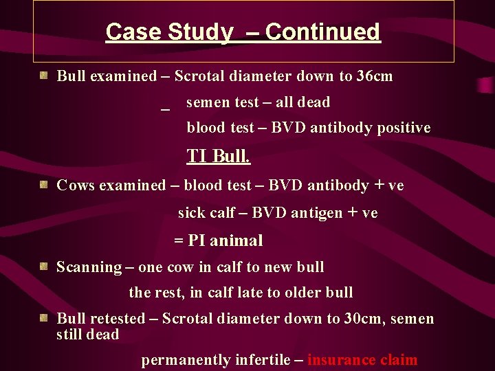 Case Study – Continued Bull examined – Scrotal diameter down to 36 cm _