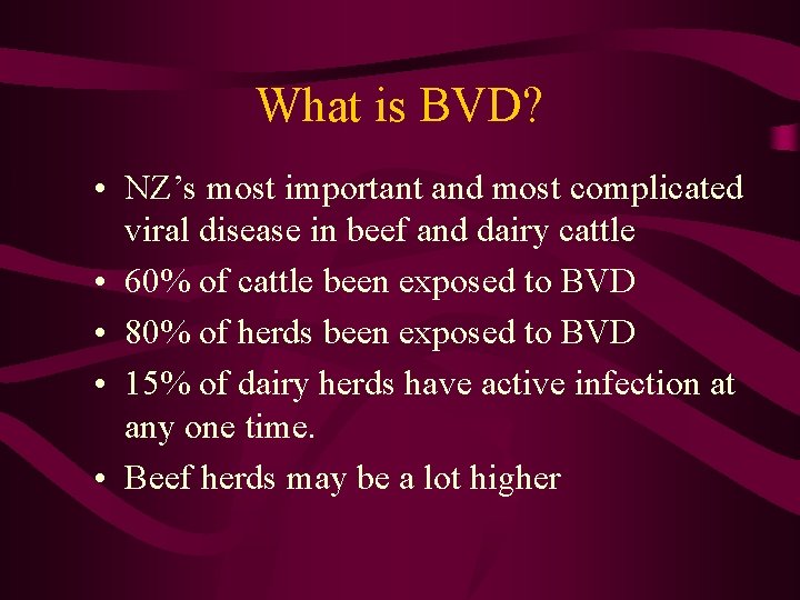 What is BVD? • NZ’s most important and most complicated viral disease in beef