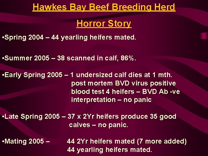 Hawkes Bay Beef Breeding Herd Horror Story • Spring 2004 – 44 yearling heifers