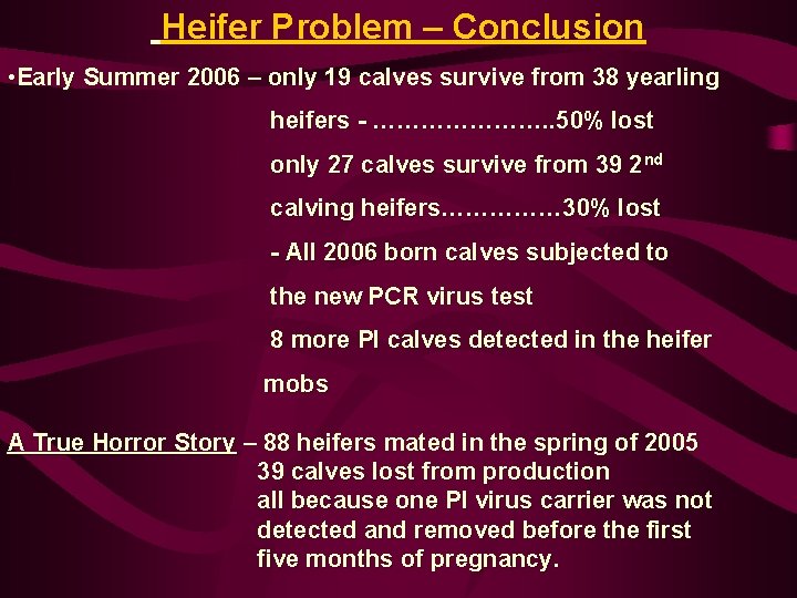  Heifer Problem – Conclusion • Early Summer 2006 – only 19 calves survive