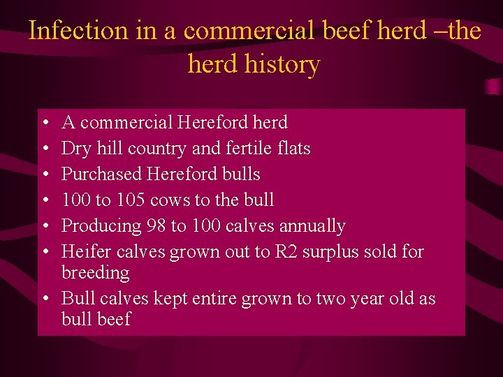 Infection in a commercial beef herd –the herd history • • • A commercial