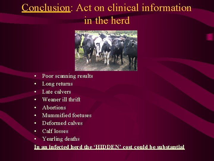 Conclusion: Act on clinical information in the herd • Poor scanning results • Long