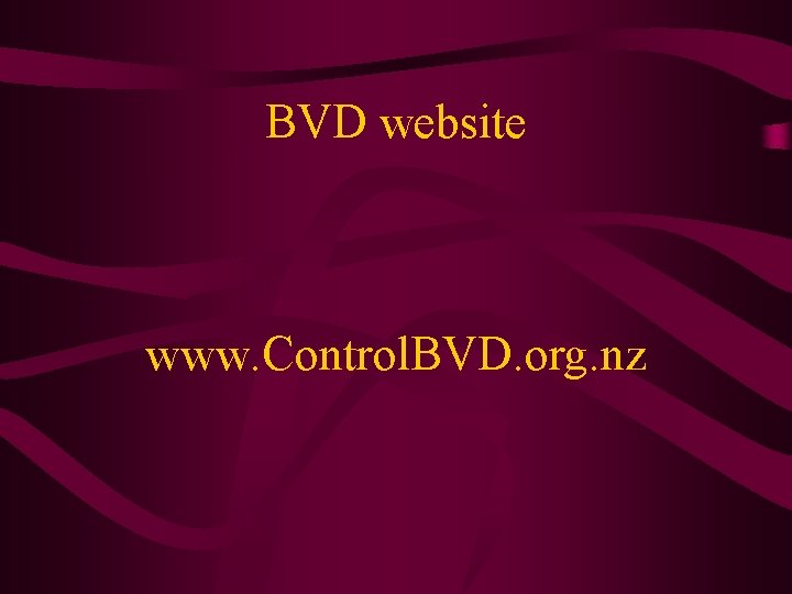 BVD website www. Control. BVD. org. nz 
