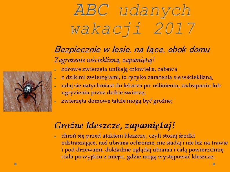 ABC udanych wakacji 2017 Bezpiecznie w lesie, na łące, obok domu Zagrożenie wścieklizną, zapamiętaj!