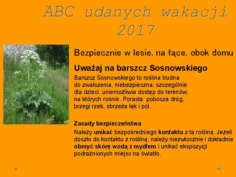 ABC udanych wakacji 2017 Bezpiecznie w lesie, na łące, obok domu Uważaj na barszcz