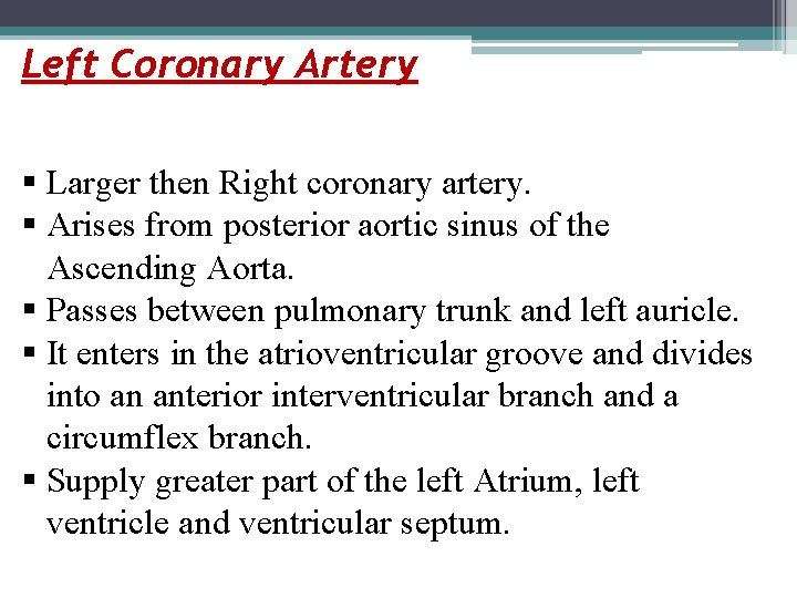 Left Coronary Artery § Larger then Right coronary artery. § Arises from posterior aortic