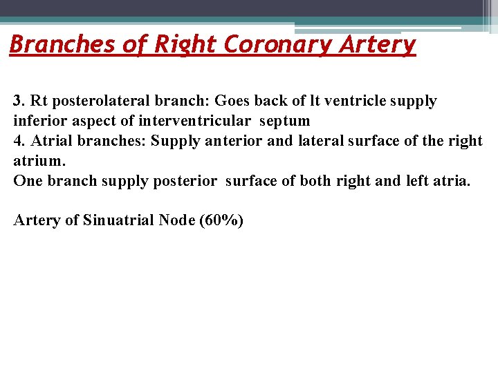 Branches of Right Coronary Artery 3. Rt posterolateral branch: Goes back of lt ventricle