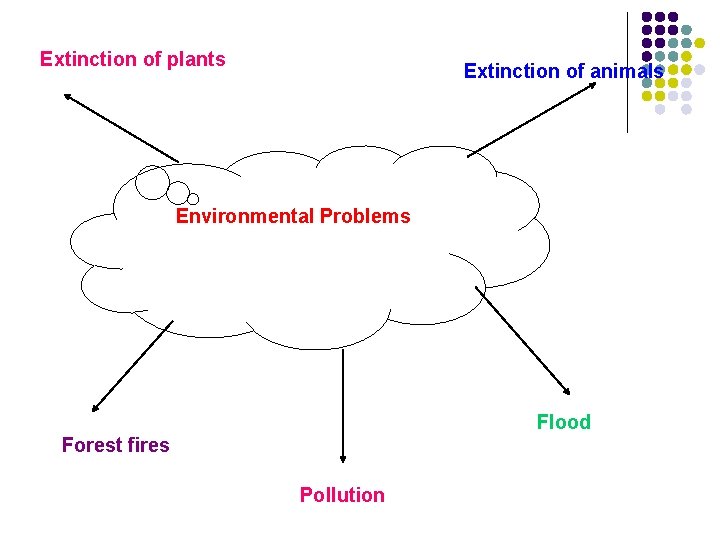 Extinction of plants Extinction of animals Environmental Problems Flood Forest fires Pollution 