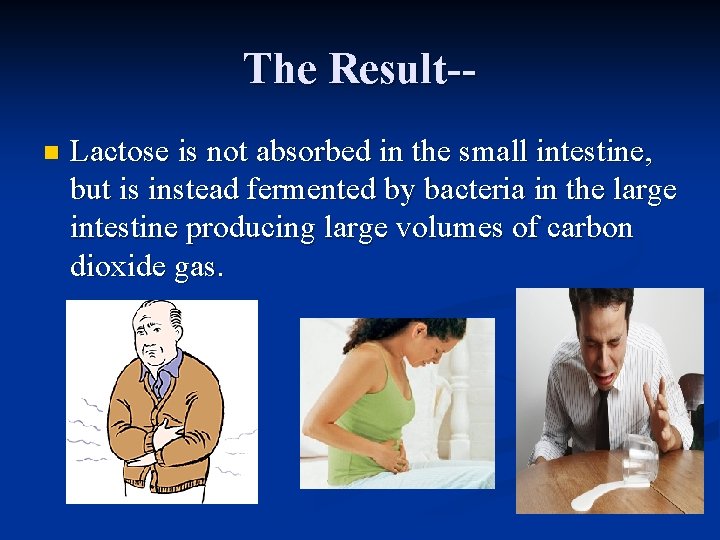 The Result-n Lactose is not absorbed in the small intestine, but is instead fermented