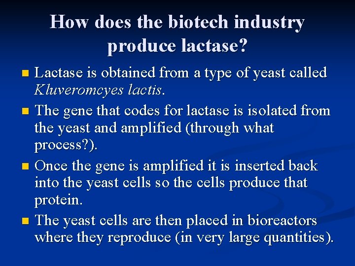 How does the biotech industry produce lactase? Lactase is obtained from a type of