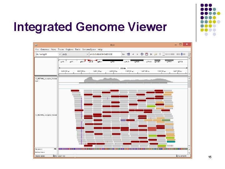 Integrated Genome Viewer BCHB 524 - Edwards 15 