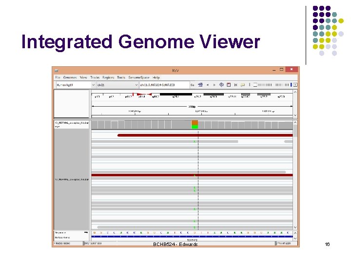 Integrated Genome Viewer BCHB 524 - Edwards 16 