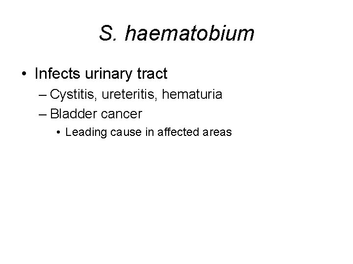 S. haematobium • Infects urinary tract – Cystitis, ureteritis, hematuria – Bladder cancer •