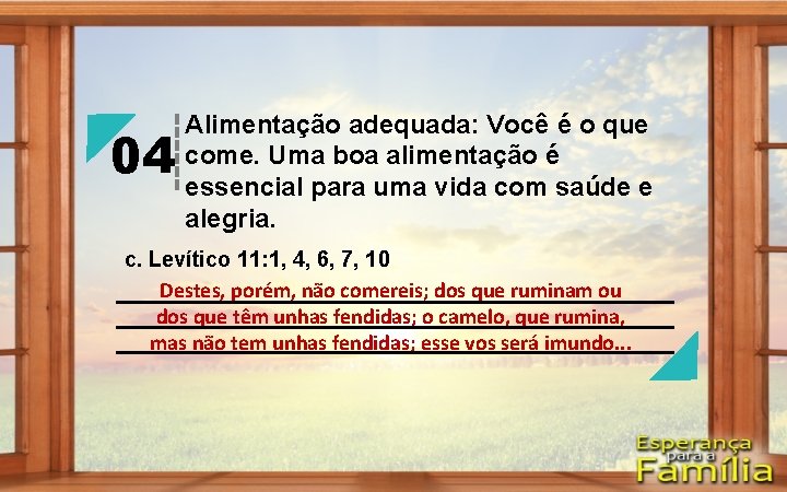 04 Alimentação adequada: Você é o que come. Uma boa alimentação é essencial para