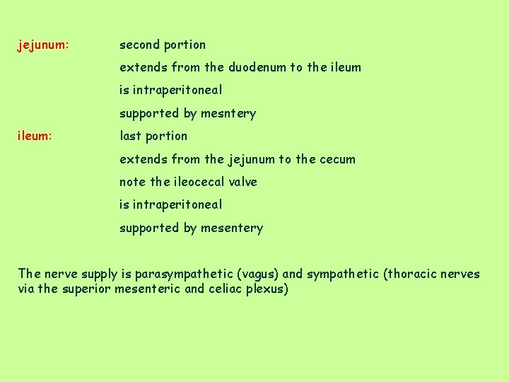 jejunum: second portion extends from the duodenum to the ileum is intraperitoneal supported by