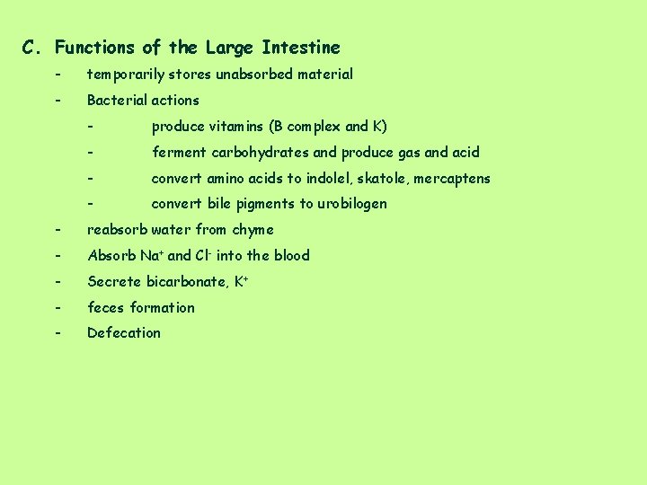 C. Functions of the Large Intestine - temporarily stores unabsorbed material - Bacterial actions