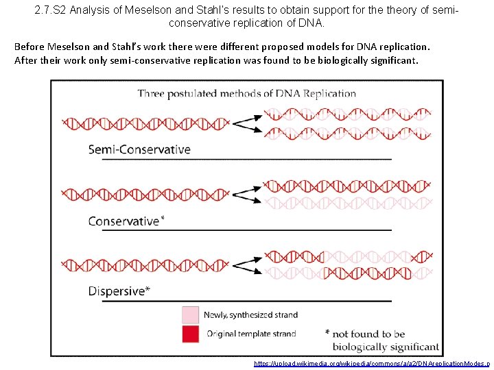 2. 7. S 2 Analysis of Meselson and Stahl’s results to obtain support for