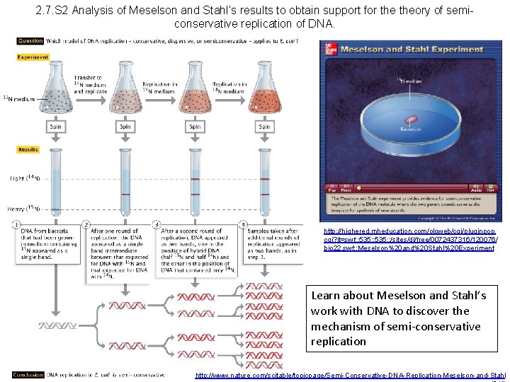 2. 7. S 2 Analysis of Meselson and Stahl’s results to obtain support for
