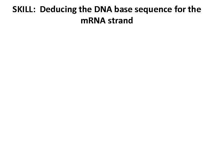 SKILL: Deducing the DNA base sequence for the m. RNA strand 