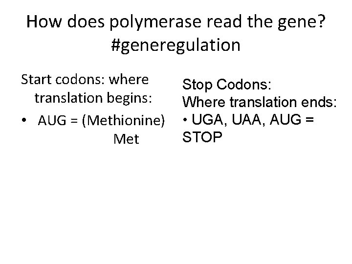 How does polymerase read the gene? #generegulation Start codons: where translation begins: • AUG